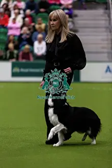 Obedience Ring Prints: Obedience Championship (Bitches) - Crufts 2026 Obedience Championship (Bitches) - Crufts 2026