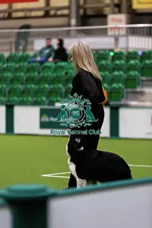 Obedience Ring Prints: Obedience Championship (Bitches) - Crufts 2026 Obedience Championship (Bitches) - Crufts 2026