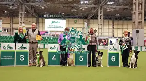 Crufts 2026 Obedience Prints: Obedience Championship Bitches - Crufts Sunday 8th March 2026