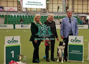 Crufts 2026 Obedience Prints: Obedience Championship Bitches Winner - Crufts 2026 Obedience Championship Bitches Winner - Crufts 2026