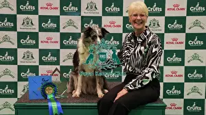 Crufts 2026 Obedience Prints: Obedience Championship Bitches Winner Podium - Crufts 2026 Obedience Championship Bitches Winner Podium - Crufts 2026