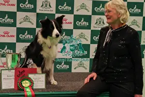Crufts 2026 Obedience Prints: Obedience Championship Bitches Winner Podium - Crufts 2026 Obedience Championship Bitches Winner Podium - Crufts 2026