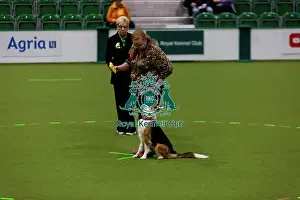 Obedience Ring Prints: Obedience Championships (Bitches) - Crufts 2026