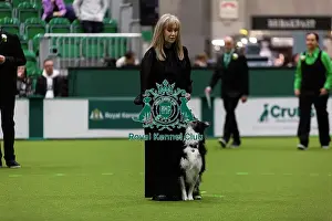 Obedience Ring Prints: Obedience Championships (Bitches) - Crufts 2026