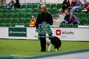 Obedience Ring Prints: Obedience Championships (Bitches) - Crufts 2026