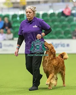 Crufts 2026 Obedience Prints: Obedience Class A (2) Heelwork - Sarah Squires & Hudson (Retriever)