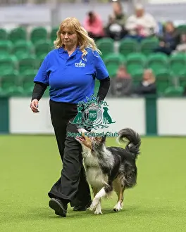 Crufts 2026 Obedience Prints: Obedience Class A (2) - Jacqualine Taylor & Journey (Border Collie)