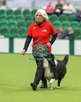 Crufts 2026 Obedience Prints: Obedience Class A (2) - Lynn Cook & Ozzie (Border Collie)