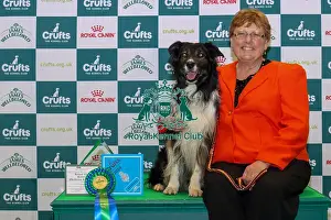 Crufts 2024 Official Photos By Robert Simpson Prints: Obedience Reserve Champion (Dog), Carolyn with her Border Collie Luca