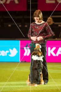 Obedience Winners 2016