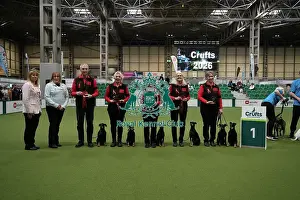 Terrier Prints: Obreedience winner MRU Manchester Terriers