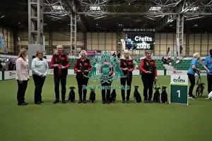 Terrier Prints: Obreedience winner MRU Manchester Terriers