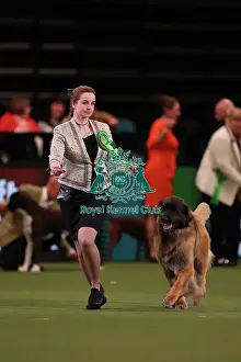 Leonberger Prints: Olga Agadova from Cyprus with Ezhy
