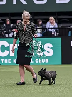 French Bulldog Prints: Olivia Timms from Thorney with Sushi