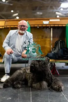 Bouvier Des Flandres Prints: Olivier Bohn from France with Stanley