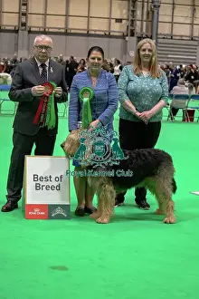 Hound Group Prints: Otterhound - Best of Breed, Crufts 2026
Otterhound - Best of Breed, Crufts 2026