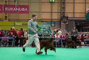 Outer Ring competing