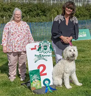 North East Dog Festival 2024 Prints: Owner Name Judith Harding Second Place Scruffts Family Crossbreed Of The Year Competition