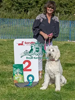 North East Dog Festival 2024 Prints: Owner Name Judith Harding Second Place Scruffts Family Crossbreed Of The Year Competition