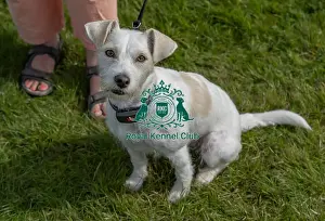 Dog Only Prints: Owner Name: Paula Robb Sunday 15th September 2024