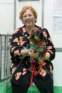 owner and her wirehaired dachshund at their discover dogs stand owner and her wirehaired dachshund at their discover dogs stand