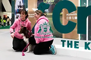 Border Collie Prints: Owners Posing With Their Border Collie In Front Of The Crufts Banner