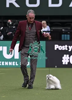 Maltese Prints: Paolandoni Stefanos from Roma, Italy with Oliver