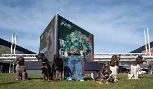 Paralympian Ellie Simmonds at the launch of Crufts 2025
