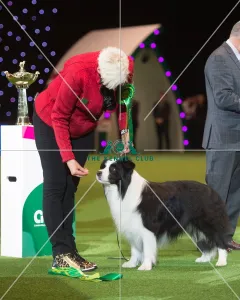 Pastoral Group - winner
