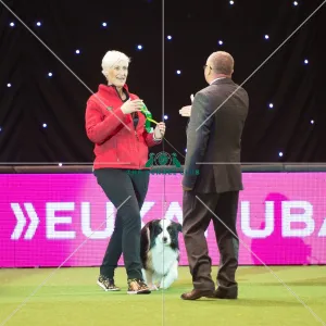 Pastoral Group - winner