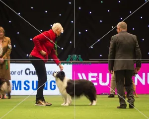 Pastoral Group - winner
