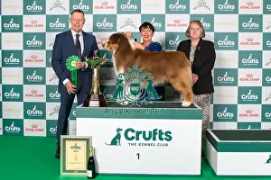 Pastoral Group winner 1st place 2025