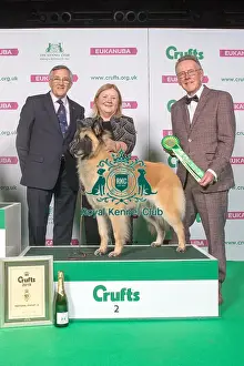 Pastoral Prints: Pastoral Group Winner 2nd place BELGIAN SHEPHERD DOG (TERVUEREN)