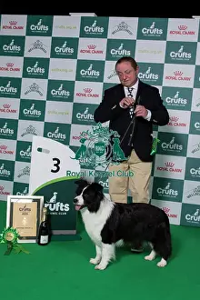 Crufts 2025 Prints: Pastoral Group winner 3rd place 2025