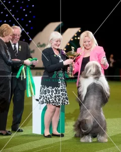 Pastoral Group Winner Ms J L Waldron with Ch Victory Winds Ghost Whisperer for Snowmead Jw Pastoral Group Winner Ms J L Waldron with Ch Victory Winds Ghost Whisperer for Snowmead Jw