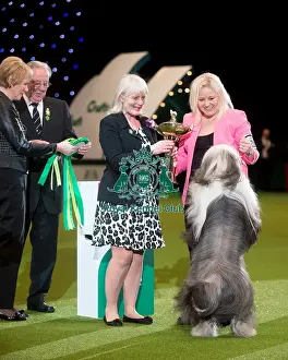 Pastoral Group Winner Ms J L Waldron with Ch Victory Winds Ghost Whisperer for Snowmead Jw