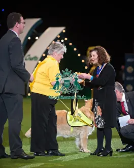 Crufts 2015 Prints: PAT dog of the year