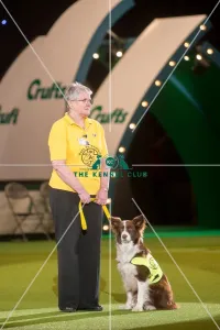 PAT dog of the year