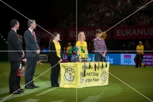 PAT dog of the year