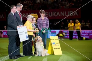 PAT Dog of the Year presented by TV presenter, Victoria Stillwell PAT Dog of the Year presented by TV presenter, Victoria Stillwell