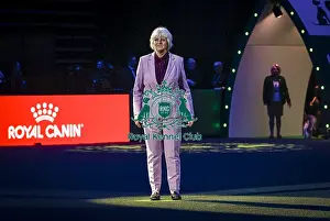 Judge Prints: Patsy Hollings, judging the coveted title of Best in Show today