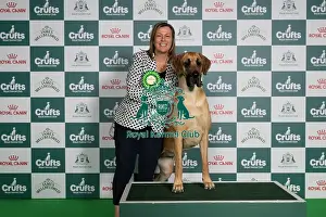 Crufts 2026 Best Of Breed Prints: Paula Jacobs from Kent with Indy