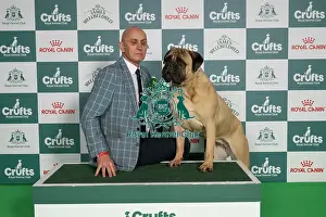 Crufts 2026 Best Of Breed Prints: Peter Myers from liverpool, with Paris