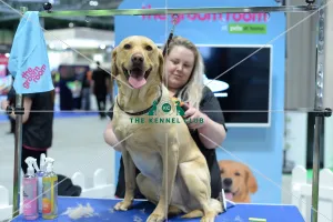 pets at home groom room stand