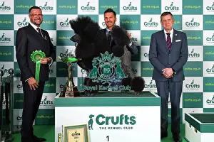 Philip Langdon from Bristol with Jake, a Philip Langdon, who won the coveted title of Best in Show today (Sunday 12. 03. 23), the final day of Crufts 2023, at the NEC Birmingham