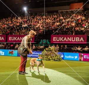Philipa Williams in main arena