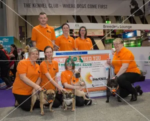 Phoenix French Bull Dog Rescue