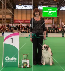 Photo Call Obedience Crufts Obedience Championships Winner Photo Call Obedience Crufts Obedience Championships Winner