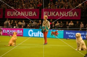Photo call Philippa Williams in the main arena