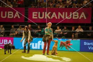 Photo call Philippa Williams in the main arena